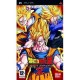Dragonball Z Shin Budokai 2 (psp)